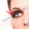 wm_half_feather_red3.jpg
