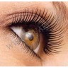 wm_eyelash_comb4ys.jpg
