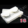 wm_lashes_new_collection18 copy.jpg