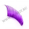 wm_lashes_long_violet01.jpg