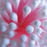 wm_mini_cotton_sticks2.jpg