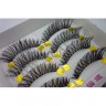 wm_lashes_10pairs_063_04.jpg
