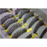 wm_lashes_10pairs_063_05.jpg
