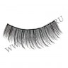 wm_lashes_10pairs_HS-15_00.jpg