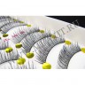wm_lashes_10pairs_HS-15_03.jpg