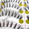 wm_lashes_10pairs_009_1.jpg