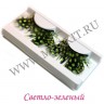 wm_dotted_green6kcd7q4g.jpg