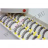 wm_lashes_10pairs_F19_01.jpg