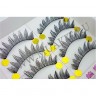 wm_lashes_10pairs_F19_04.jpg