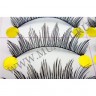 wm_lashes_10pairs_F19_05.jpg