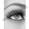 wm_lashes_10pairs_xh-04_2.jpg