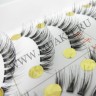 wm_lashes_10pairs_129_2.jpg