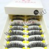 wm_lashes_10pairs_226_1.jpg
