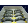 wm_lashes_10pairs_e-15_08.jpg