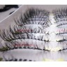 wm_lashes_10pairs_709_2.jpg