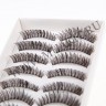 wm_lashes_10pairs_600_1.jpg