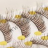 wm_lashes_10paips_056_2.jpg