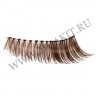 wm_lashes_10pairs_K28_0.jpg