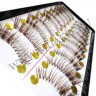 wm_lashes_10pairs_K28_3.jpg