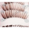 wm_lashes_10pairs_K28_4.jpg
