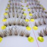 wm_lashes_10pairs_xh46_3.jpg