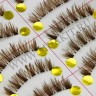 wm_lashes_10pairs_xh46_4.jpg