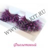 wm_dotted_puplelp3mbh9tm9.jpg