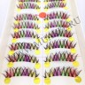 wm_lashes_10pairs_000_2.jpg