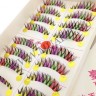wm_lashes_10pairs_000_3.jpg